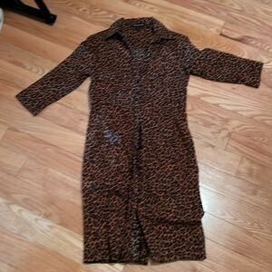 Express fall leopard dress